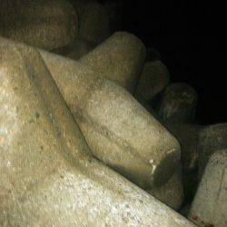 赤い彗星のシャー　